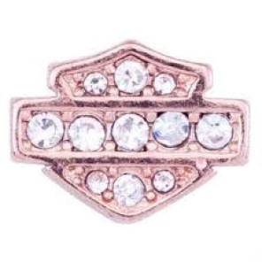 Bling Pink B&S Locket Charm